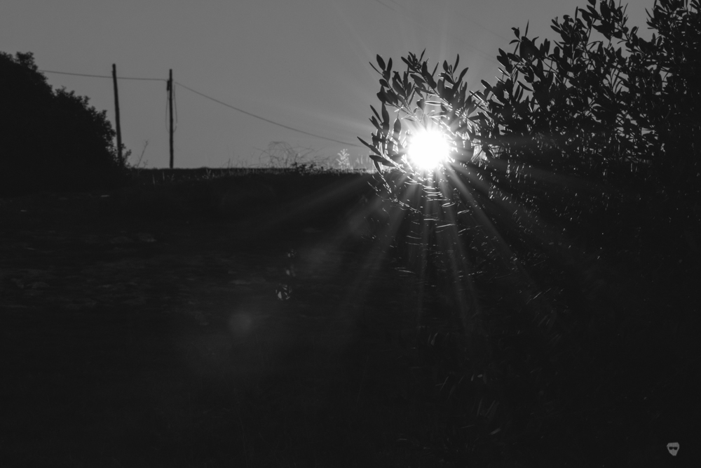 leiria sunraise b&w-4.jpg